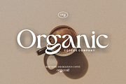 Rogelia Modern Serif, a Serif Font by ngene (Thumbnail 6 of 11)