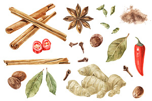 Watercolor Spices