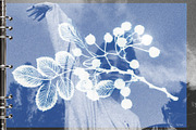 120 Paper Memories Backgrounds, a Texture Graphic by Trissa (Thumbnail 2 of 8)