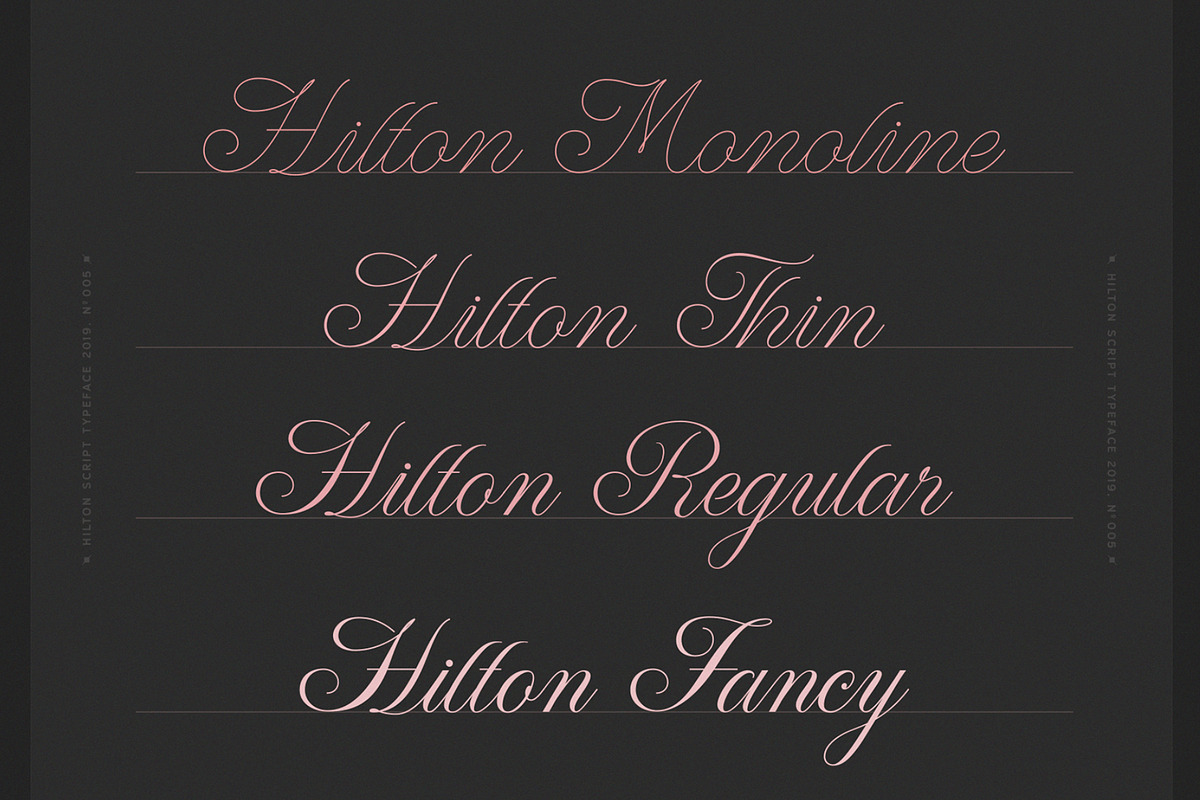 WT Hilton Script, a Font by Winston Type Co. (Photo 6 of 9)