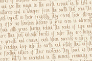 Evangeline Chalista Stylish Font, a Script Font by stylishtype.co (Thumbnail 14 of 20)