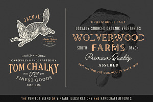 19 Vintage Fonts Bundle & Extras