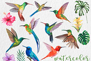 Watercolor Tropical BIG BUNDLE PNG, a Seasonal Illustration by PatternPalette (Thumbnail 12 of 15)