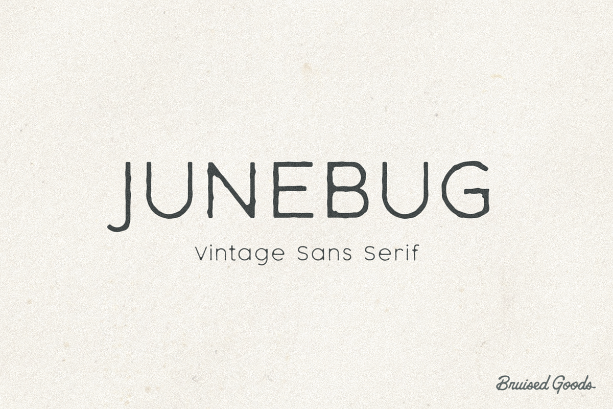 Junebug, a Sans Serif Font by Bruised Goods (Photo 1 of 11)