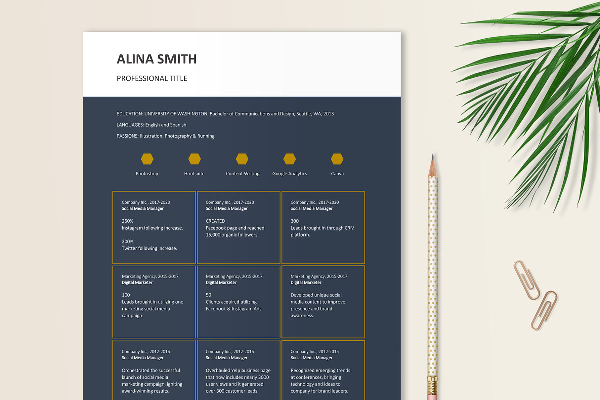 Digital Marketing Resume Template, a Resume Template by Stanin Studio (Photo 3 of 10)