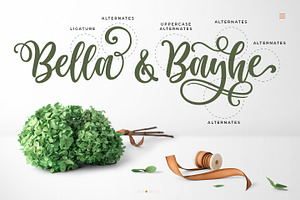 Haniberryku - Beautiful Script Font