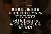 Softers Beautiful Classic Serif Font, a Serif Font by Storytype Studio (Thumbnail 13 of 14)