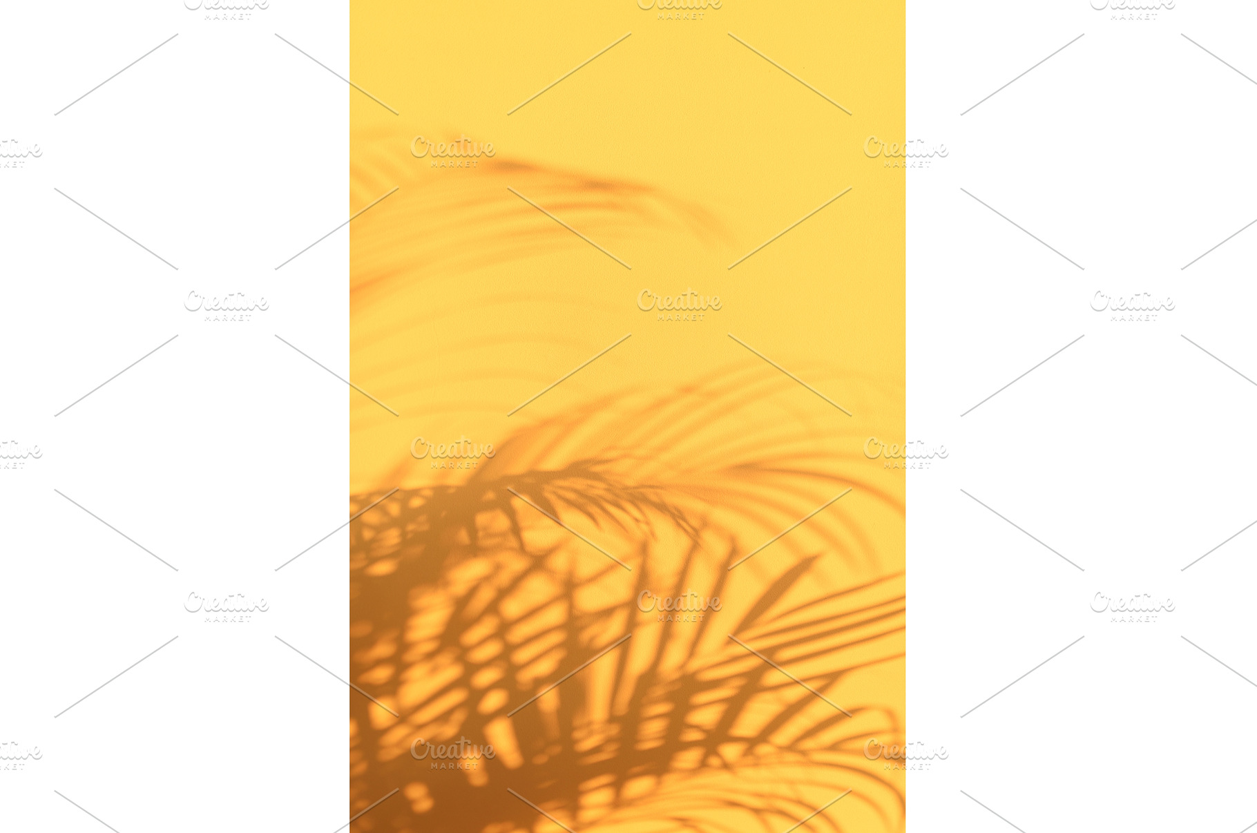Shadows of tropical palm leaves on, a Nature Photo by Enjoy Photo