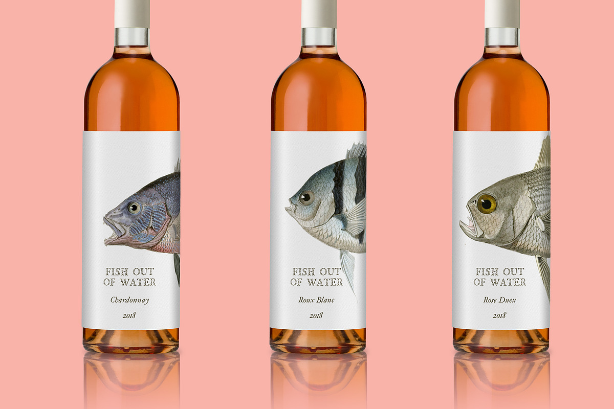 Vintage Fish Illustrations, a Food Illustration by BlackBird Foundry (Photo 4 of 5)