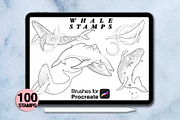 100 procreate whale stamps, a Brush Add-On by Arts For Peace (Thumbnail 5 of 9)