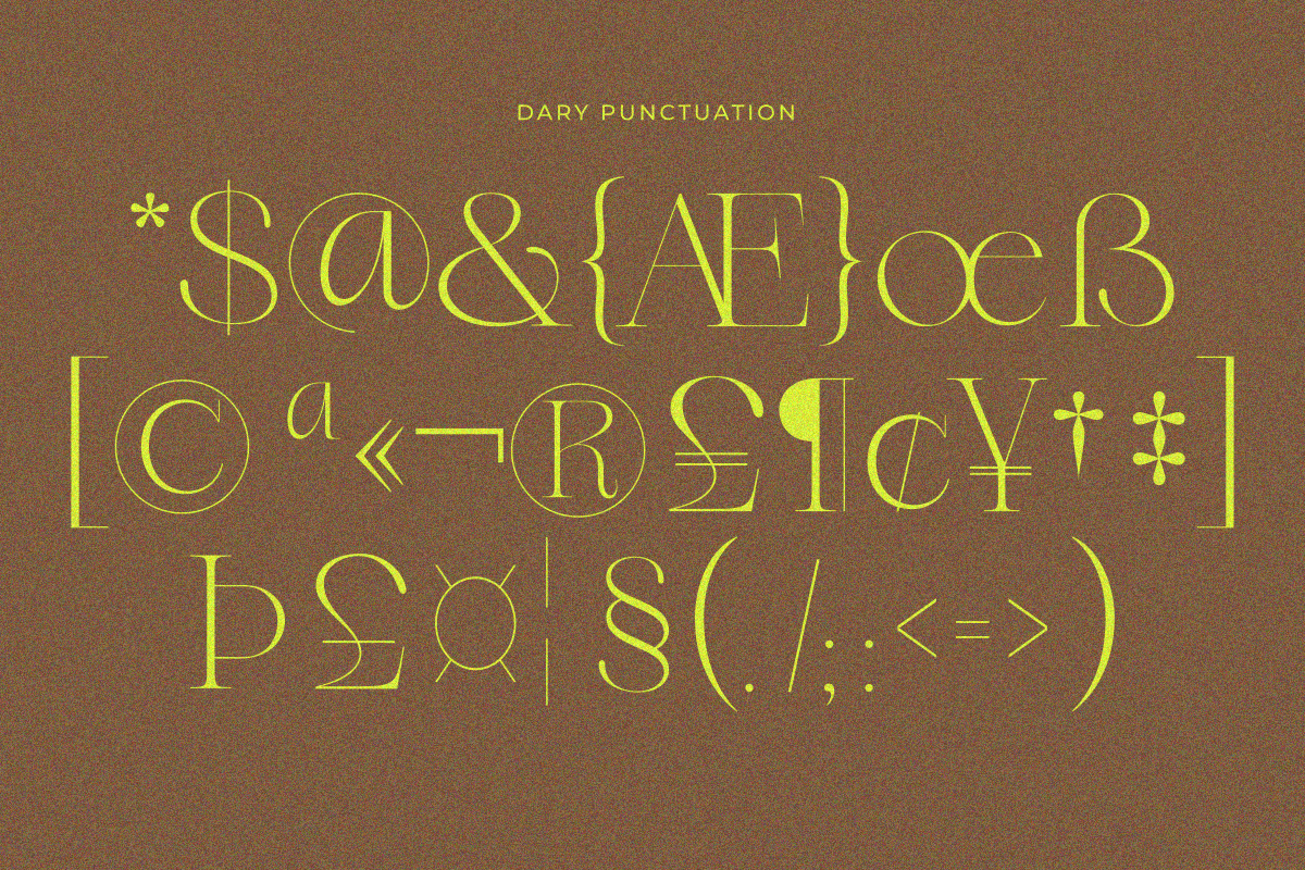 Dary, a Serif Font by zaaintype (Photo 10 of 10)