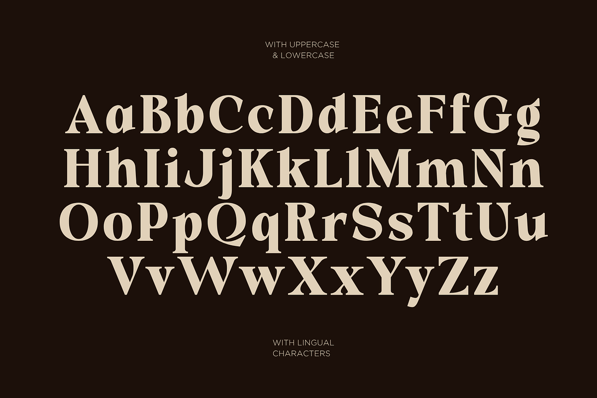 Quishe – Modern Elegant Serif, a Serif Font by MaikoHatta (Photo 3 of 8)