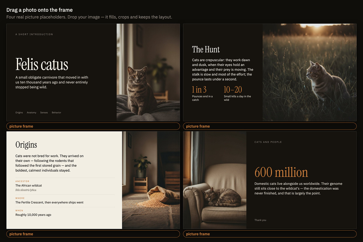 Understory Editorial Deck Template, a Presentation Template by Uno Creative Studio (Photo 7 of 10)