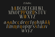 LE Buffec | 18 Font Family, a Serif Font by Jolicia Type (Thumbnail 12 of 17)