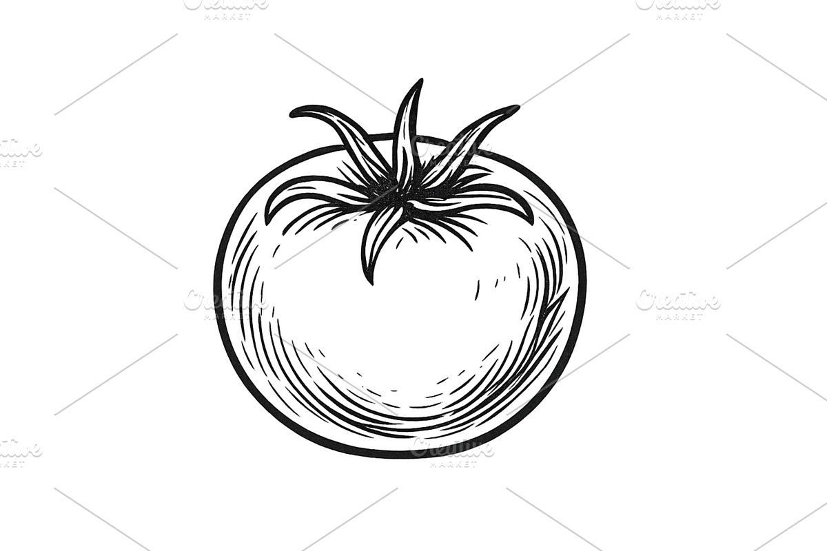 Freshly drawn tomato in black and, a Food Illustration by ZinetroN
