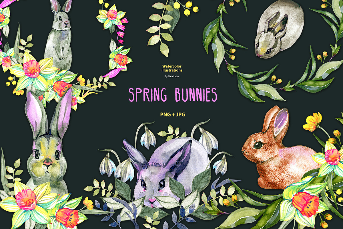 5 spring bunnies - png clipart, an Animal Illustration by NataliMiasStore
