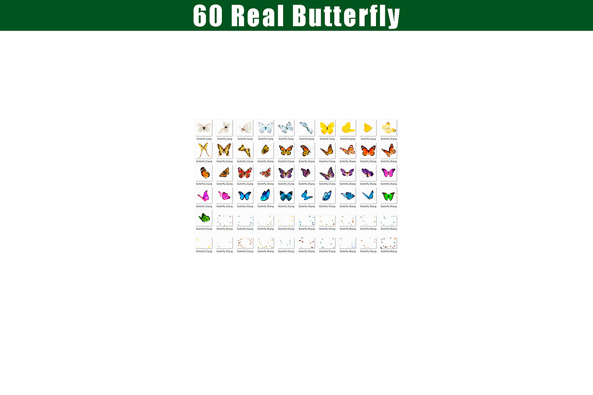 60 Butterfly Overlays Photoshop, a Layer Style Add-On by OverlayBox (Photo 4 of 5)