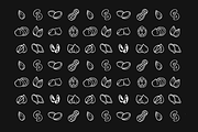 Pen Brush Hand Drawn Nuts&Seeds Set, an Object Graphic by Lillu (Thumbnail 3 of 4)