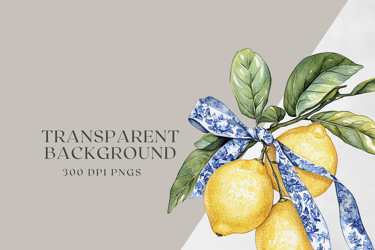 Sicilian Lemons & Ribbons, a Decorative Illustration by ThaismotaCreativeCo (Photo 9 of 9)