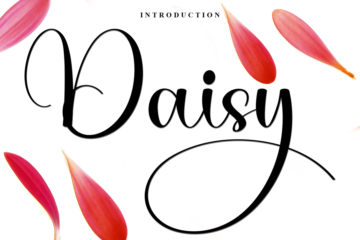 Daisy, a Handwritten Font by FreshTypeINK (Photo 4 of 8)