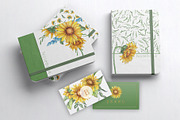Sunflower watercolour collection., a Decorative Illustration by DamriNa art (Thumbnail 4 of 10)