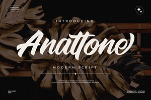 Anattone - Modern Script Font