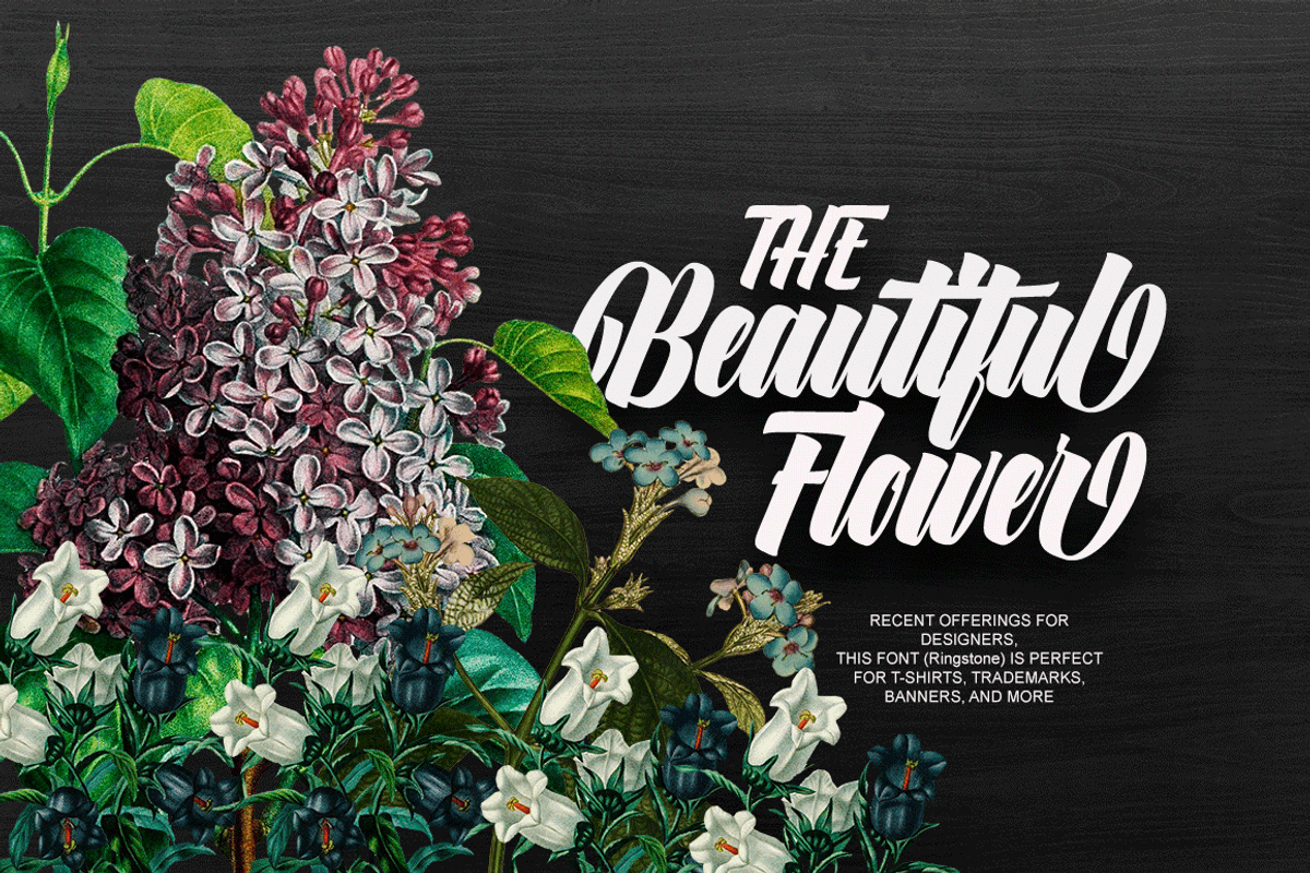 Calligraphy Big Bundle (95%off), a Script Font by groens (Photo 20 of 46)