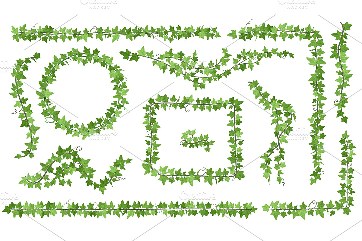 Ivy creepers. Climbing leaves vines, a Graphic by Stock-Smart-Start