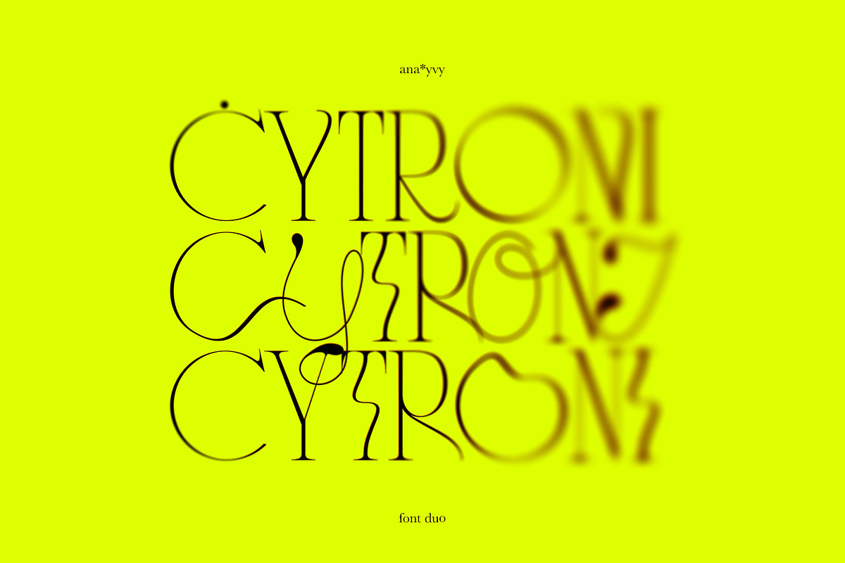 CYTRONI Modern Mix Font Duo, a Serif Font by ana & yvy (Photo 3 of 34)