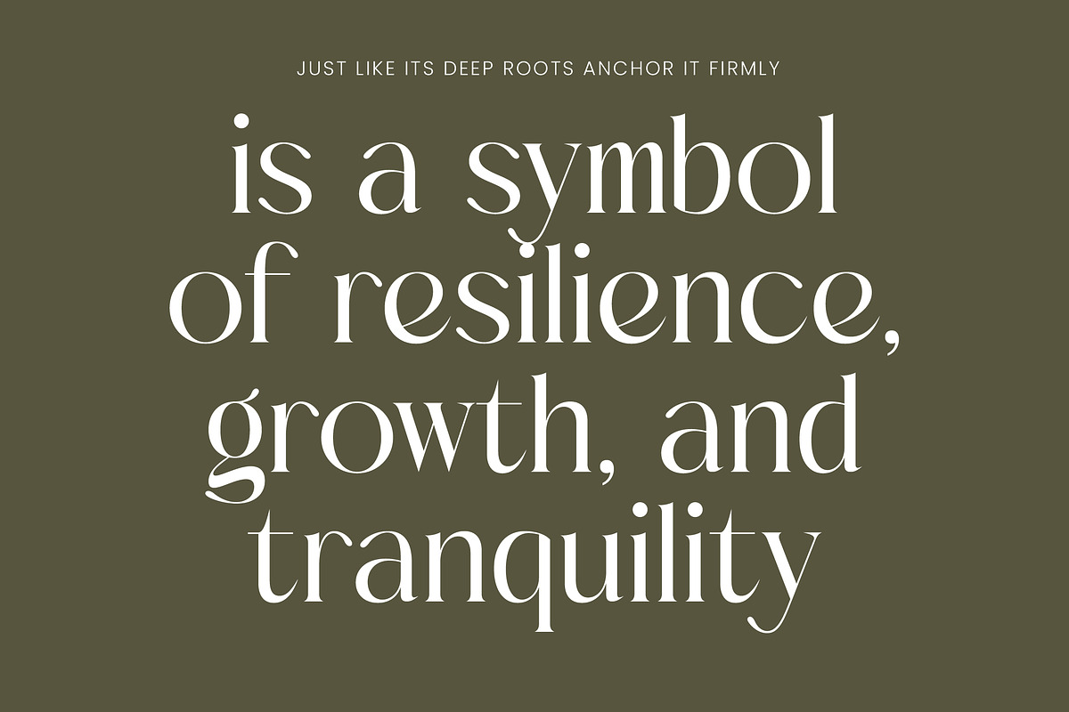 Mezaira Modern Serif Font, a Serif Font by timelesstype.co (Photo 5 of 20)