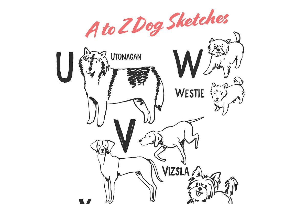 Whimsical Dog Alphabet, an Animal Illustration by Anastasiya Klempach (Photo 6 of 8)