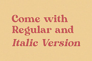 Mogena - Modern Serif Font, a Serif Font by Kulokale (Thumbnail 7 of 13)