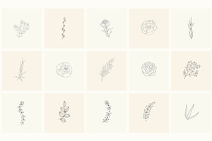 Hand Drawn Floral Elements. Frames