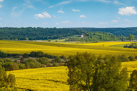 Spring countryside view with rapeseed yellow blooming fields, gr, a Nature Photo by YuriyB