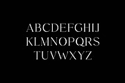 Vogue Moderne Display Serif Font, a Serif Font by UICreative (Thumbnail 4 of 13)