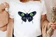 Watercolor Night Moths Clipart, an Illustration by Canvas Craft (Thumbnail 6 of 8)