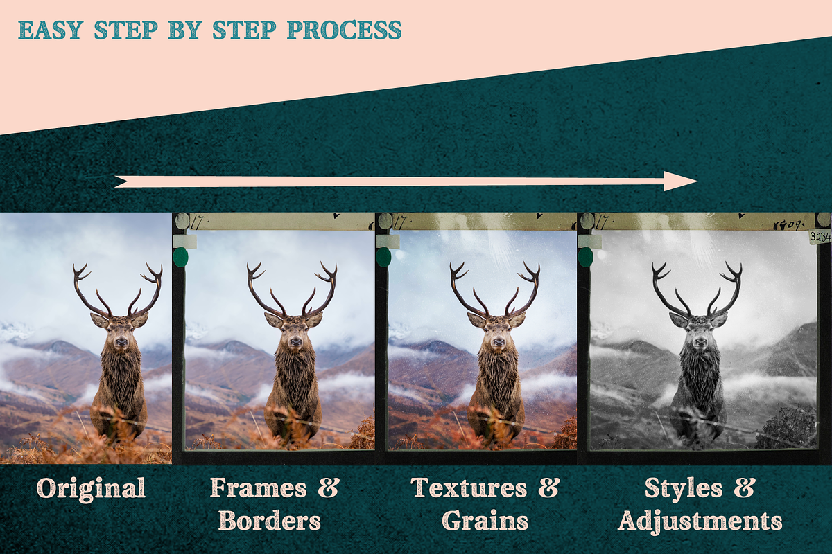 Vintage Film Photoshop Effect, a Preset Add-On by Salty Sweet Creative (Photo 7 of 9)