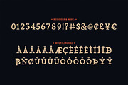 Lazarus Typeface, a Serif Font by Tugcu Design Co. (Thumbnail 4 of 4)