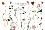 Field Flowers Watercolour Clipart, a Decorative Illustration by whiteheartdesign (Thumbnail 17 of 20)