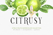 Citrusy Fruits watercolor collection, a Decorative Illustration by Volha Studio (Thumbnail 1 of 10)