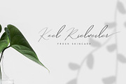 Hegomoni Signature, a Script Font by Raseuki (Thumbnail 2 of 13)