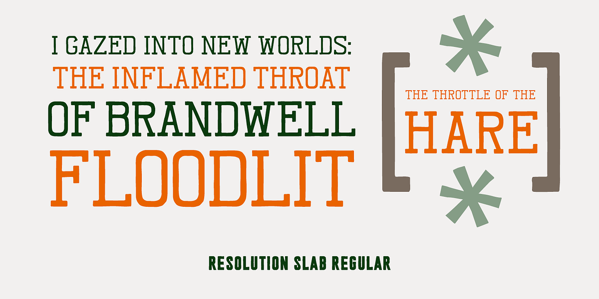 Resolution, a Handwritten Font by Barnbrook Fonts (Photo 9 of 10)