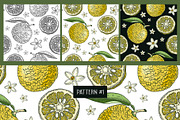 Yuzu - Citrus Fruit and Patterns, a Food Illustration by Yevheniia (Thumbnail 9 of 12)