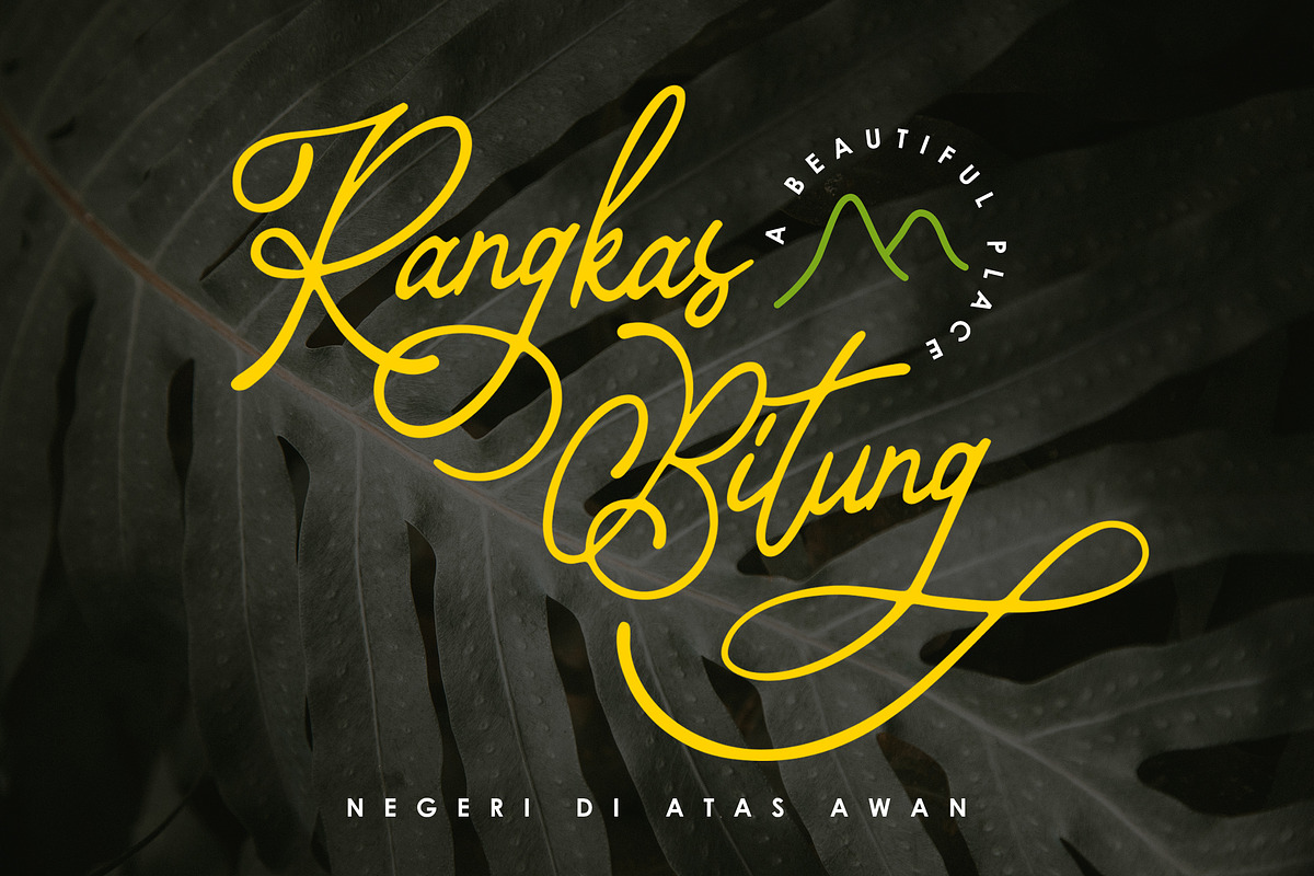 Bragitha - Stylish Font, a Script Font by Nurmiftah (Photo 12 of 13)