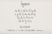 Signora - Textured Font, a Handwritten Font by Mneme (Thumbnail 5 of 7)