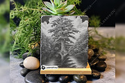 Bald Cypress Tree South Georgia Lake, a Background Graphic by LaseredNinja (Thumbnail 5 of 7)