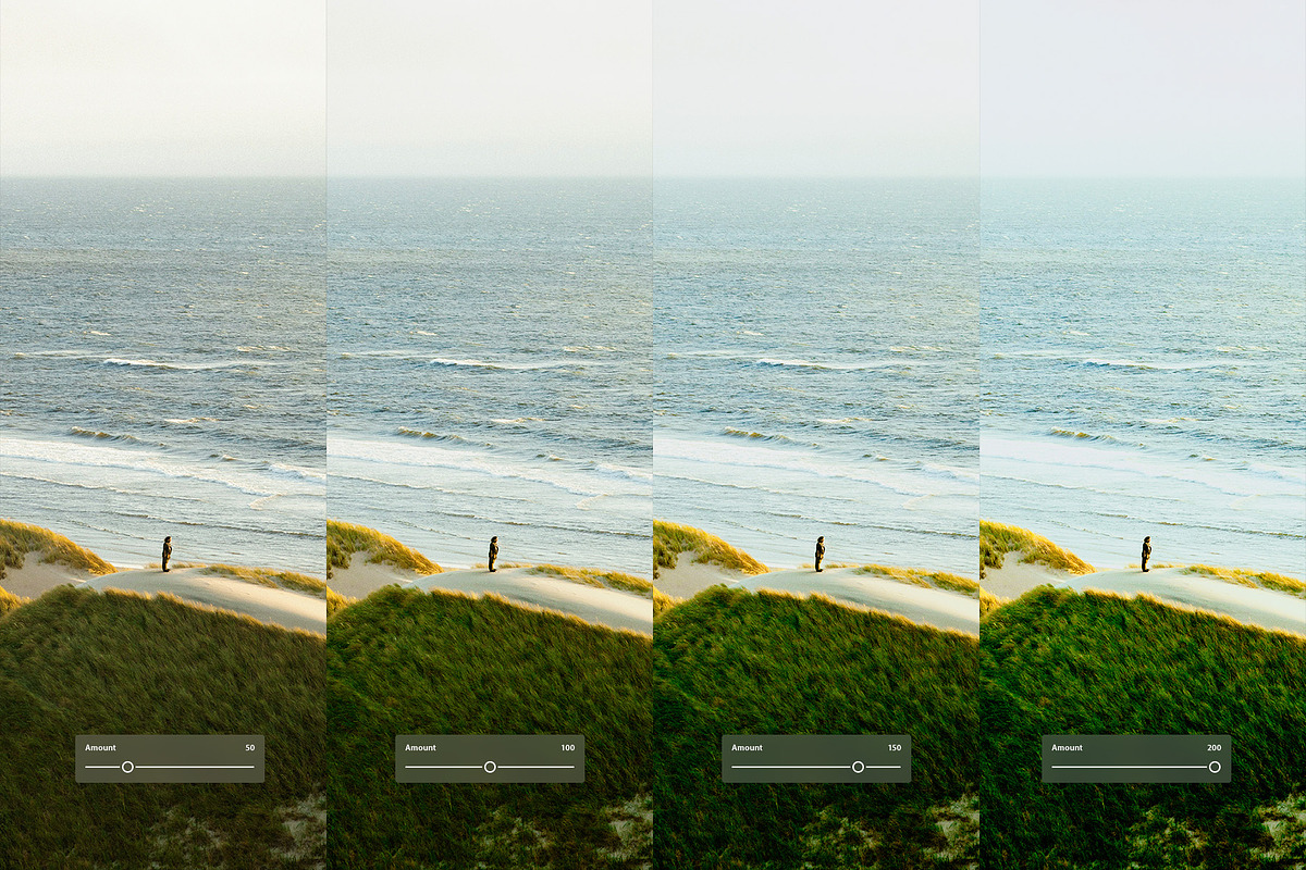 Fuji Fortia SP, a Preset Add-On by colorituals (Photo 2 of 9)