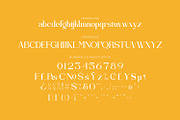 Bravillie - Serif Typeface Font, a Serif Font by Rishsketch (Thumbnail 13 of 15)