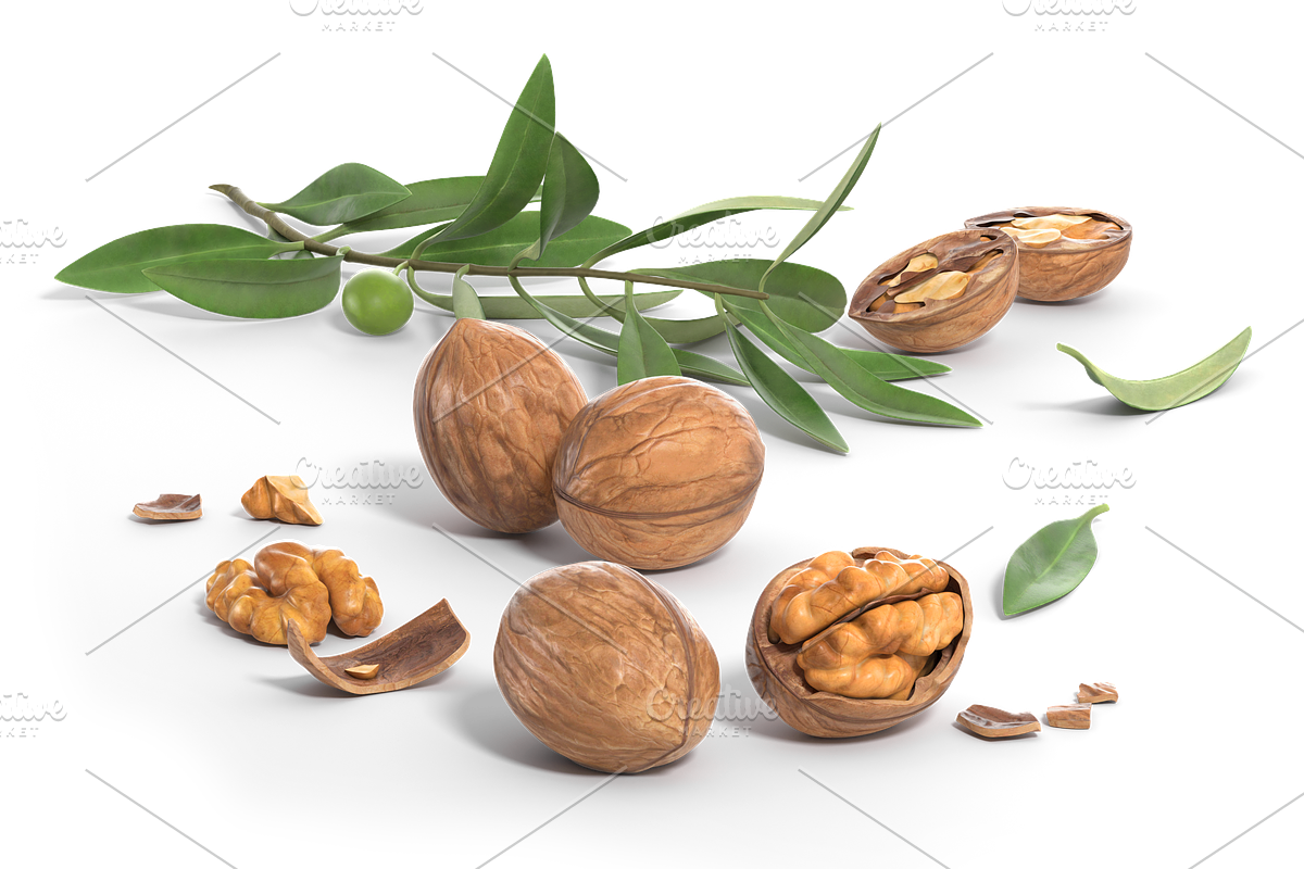 Walnuts transparent still life, an Object Graphic by ThreeDiCube