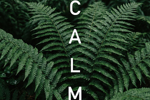 Lush Green Ferns with CALM Text, a Nature Photo by Virgo Studio